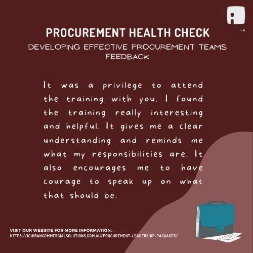 Ichiban Commercial Solutions Procurement Health Check Feedback responsibilities