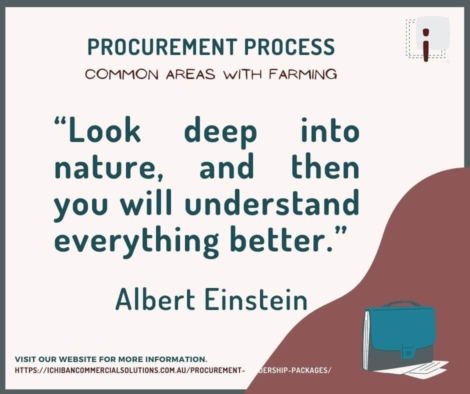 Ichiban Commercial Solutions Procurement Einstein Quote