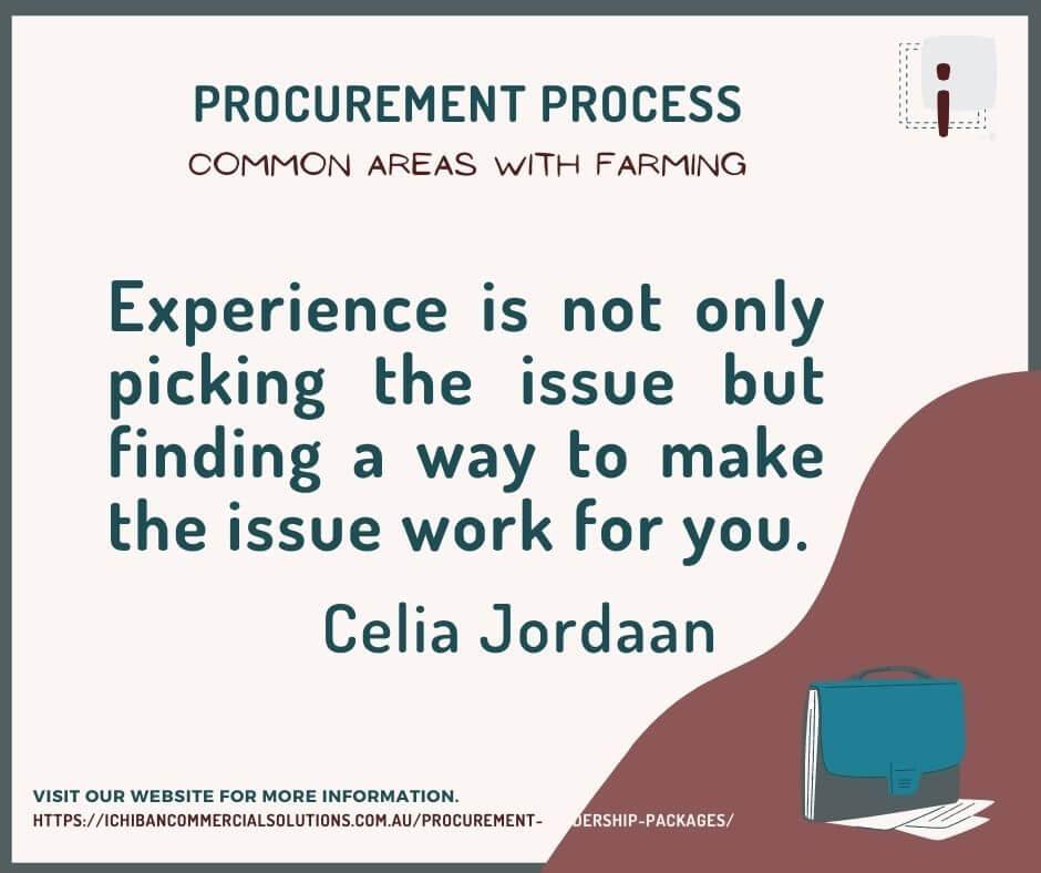 Ichiban Commercial Solutions Procurement Process and Farming Jordaan Experience